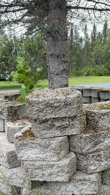 patio stones