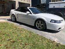 Cobra, SVT The terminator - Photo 2