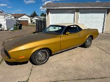 Mustang convertible - Photo 3
