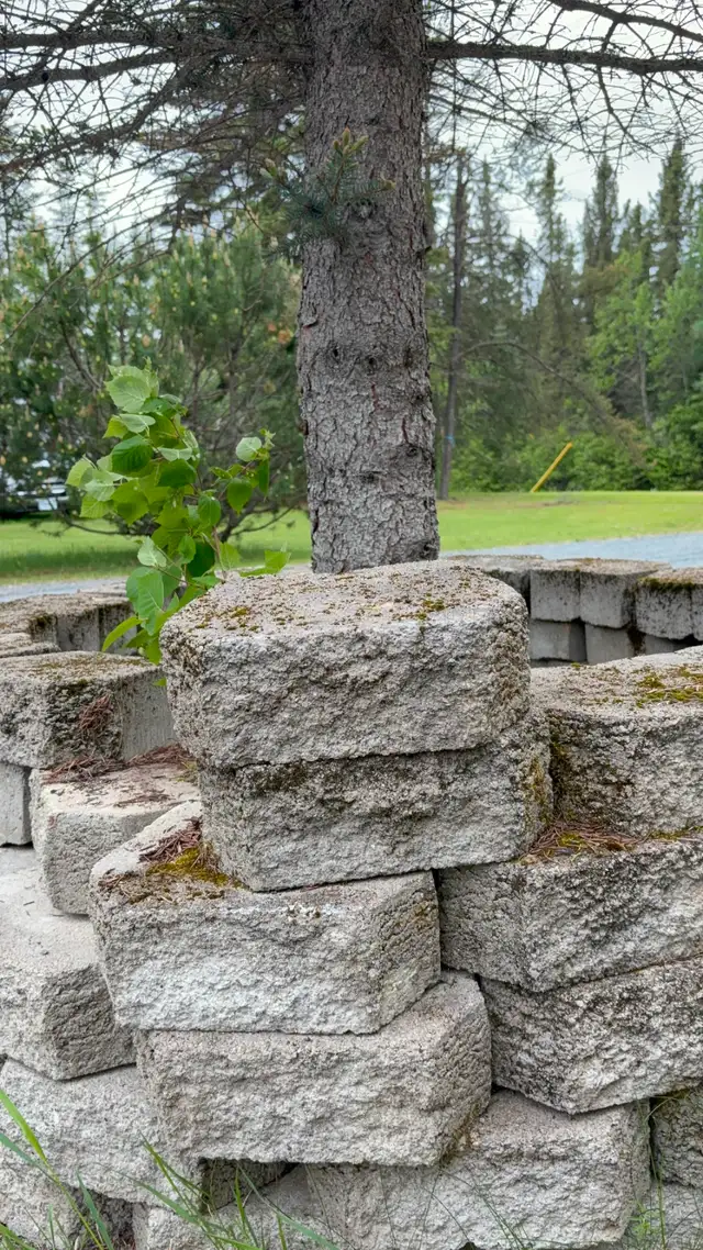 Cement Patio Stones