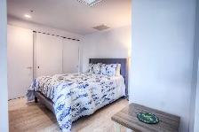 1 Bed 1 Den in TDC1 Condo for Rent in Downtown Montreal - Photo 6