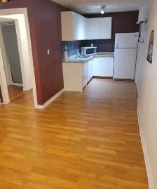 1 Bedroom BASEMENT APARTMENT