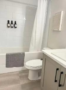 Furnished one bedroom suite for rent in Mission - Photo 7