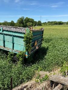 DUMP TRAILER - Photo 3