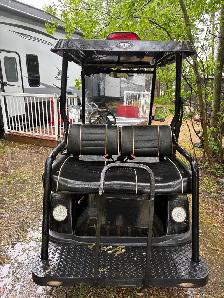 2010 Tomberlin Golf Cart - Photo 2