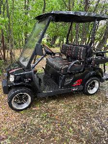 2010 Tomberlin Golf Cart - Photo 3
