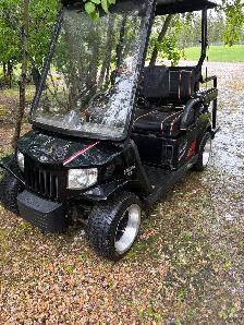 2010 Tomberlin Golf Cart - Photo 4