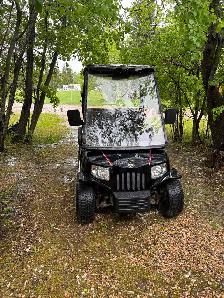 2010 Tomberlin Golf Cart - Photo 5