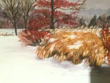 Original Acrylic Painting, Arboretum, Guelph, Liz Hansen - Photo 3