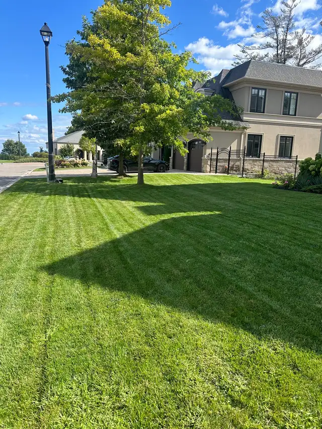 Hiring  for landscaping crew