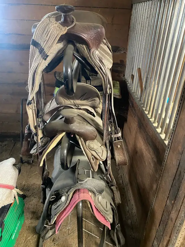 Tack room (English & Western) clear out sale