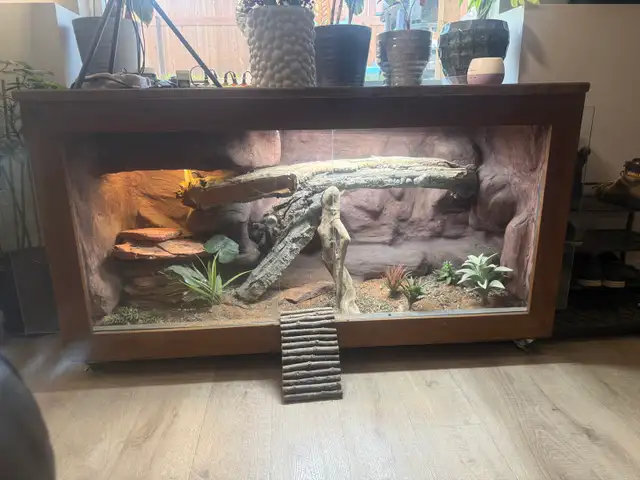 Custom Made  lizard vivarium