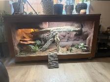 Custom Made  lizard vivarium