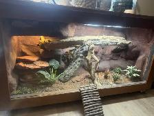 Custom Made  lizard vivarium - Photo 2