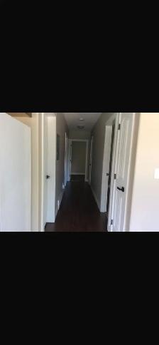 Three Bedroom Basement Suite - Photo 2