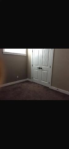 Three Bedroom Basement Suite - Photo 10