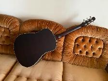 SEAGULL Coastline Momentum HG GUITAR with electronics, CASE - Photo 4