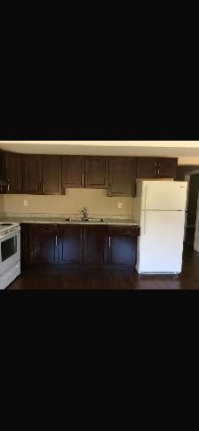Three Bedroom Basement Suite - Photo 2