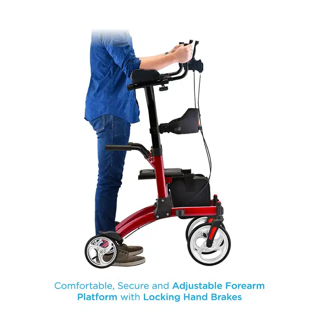 Upright (standing) Walker