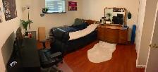 1br - Furnished basement suite close to BCIT/Brentwood (Burnaby)