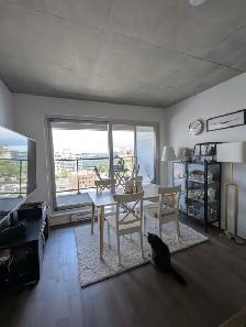 LOCATION 4 1/2 Griffintown 2400$/mois Dispo 1er Août 2026