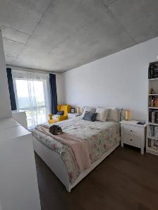 LOCATION 4 1/2 Griffintown 2400$/mois Dispo 1er Août 2026 - Photo 5