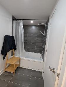 LOCATION 4 1/2 Griffintown 2400$/mois Dispo 1er Août 2026 - Photo 10