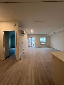 Luxury 1BR/1BA | Bridgwater | All-Inclusive Hydro, Water & Wi-Fi - Photo 7