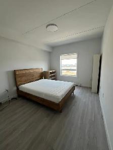 Luxury 1BR/1BA | Bridgwater | All-Inclusive Hydro, Water & Wi-Fi - Photo 11