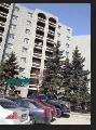 Apartment for Rent!