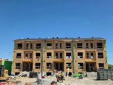 Experienced roofing labourer needed ASAP - Photo 2