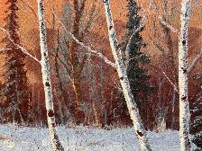 Beautiful Large Winter Scene Hand-Painted On Canvas Painting - Photo 6