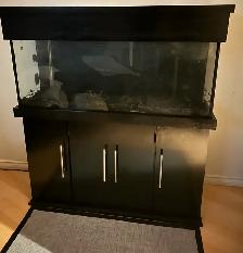 Complete 55 Gallon Aquarium Set Up       $350 or BO - Photo 2