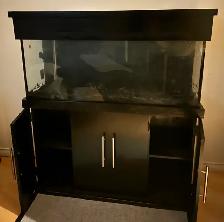 Complete 55 Gallon Aquarium Set Up       $350 or BO - Photo 3