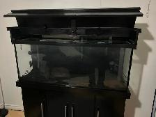 Complete 55 Gallon Aquarium Set Up       $350 or BO - Photo 5