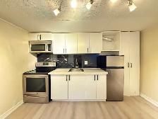 Yonge and Finch - Basement Apartment for Rent - Photo 3