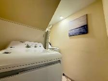 Yonge and Finch - Basement Apartment for Rent - Photo 8