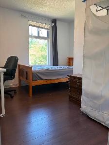 McMaster Housing:Spacious & Bright,Well-Managed & All-inclusive - Photo 6