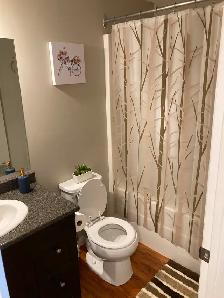 ❤ Posh, cozy, bright FURNISHED suite ✔ Separate Entry ✔ Parking - Photo 5