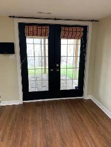 walkout basement for rent