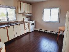 2 bedroom apartment for rent in Gatineau(6 mins to DOWNt Ottawa) - Photo 2