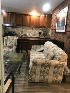 Ravine one Basement apt - Photo 4