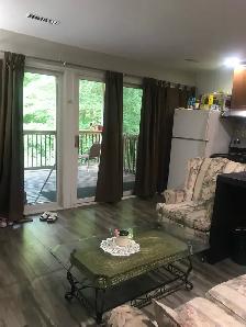 Ravine one Basement apt - Photo 8