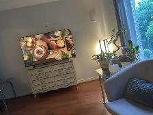 Room for Rent female only(July 1st)