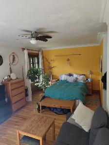 Colocation Casa Ontario - Photo 3