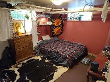 Colocation Casa Ontario - Photo 6