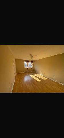 Two male persons -one large room in sharing. Brampton. - Photo 2