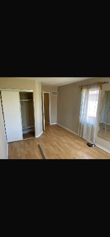 Two male persons -one large room in sharing. Brampton. - Photo 10