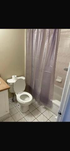 Two male persons -one large room in sharing. Brampton. - Photo 11