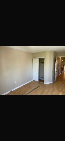 Two male persons -one large room in sharing. Brampton. - Photo 14